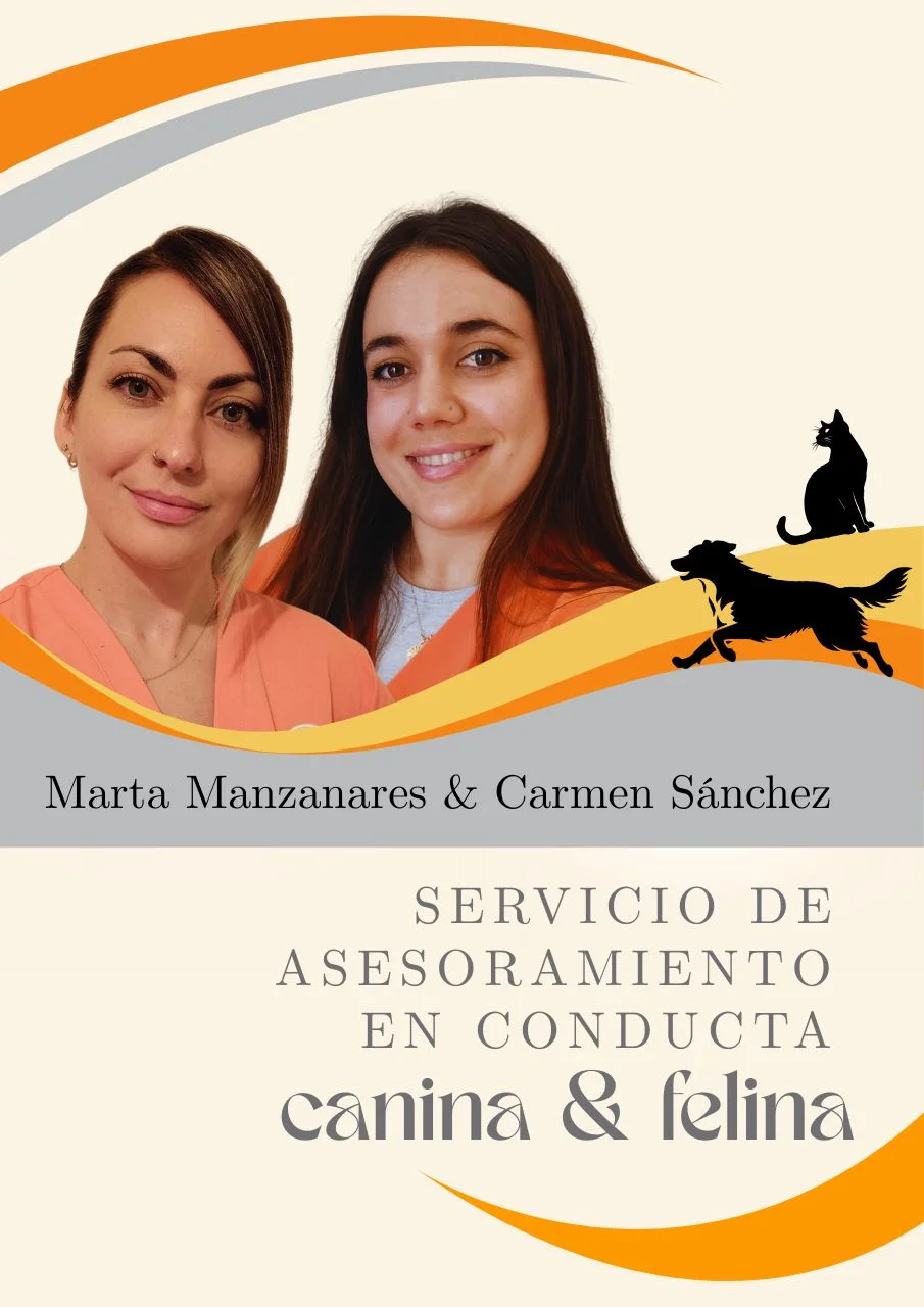 Carmen Sánchez y Marta Manzanares, especialistas en asesoramiento de conducta canina y felina en Clínica Veterinaria Murcia Norte